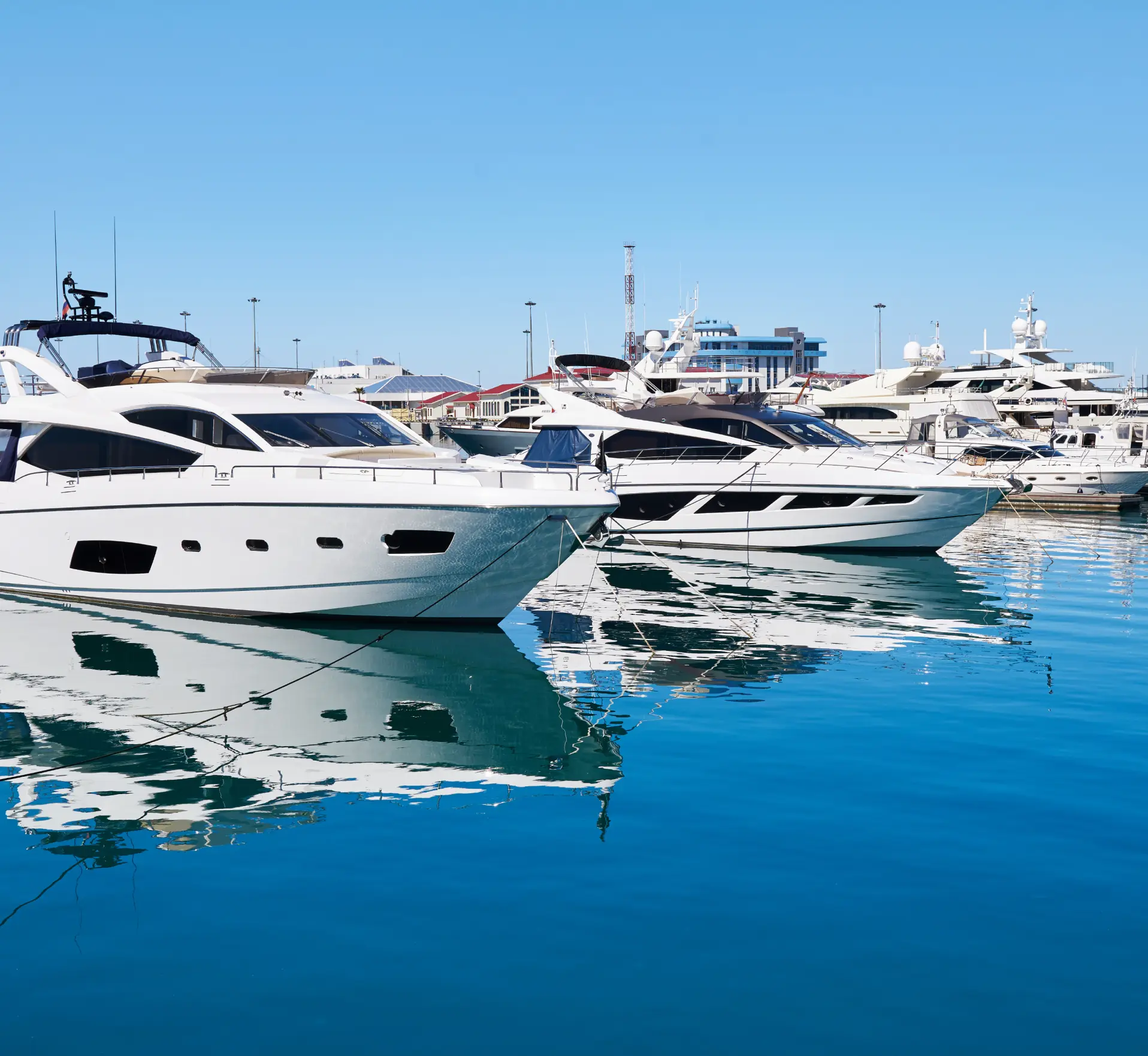 Luxury white yachts docked in calm marina